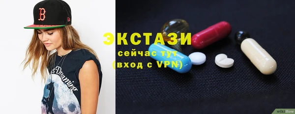 хмурый Аркадак