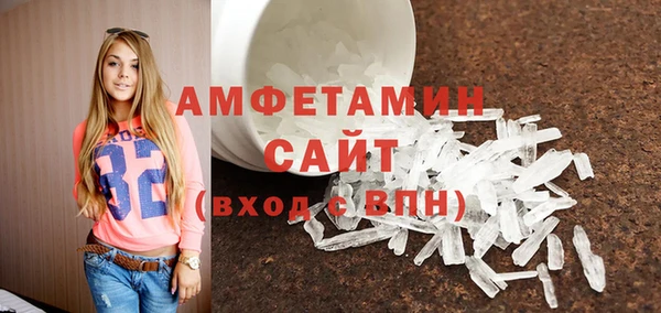 хмурый Аркадак