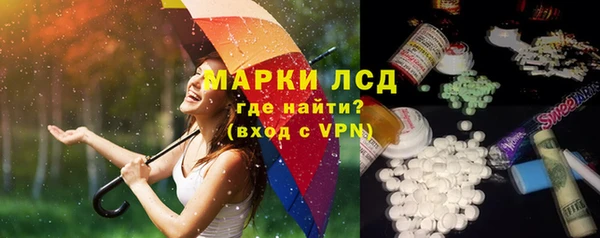 хмурый Аркадак